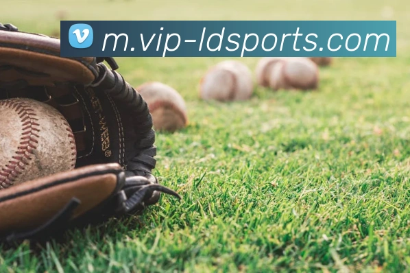 体育下注平台生态图