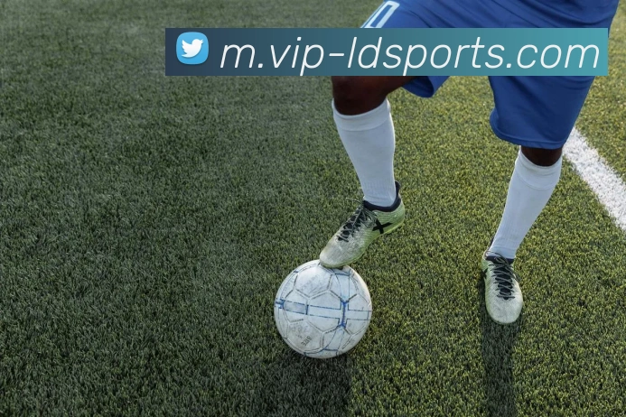 体育下注全站App